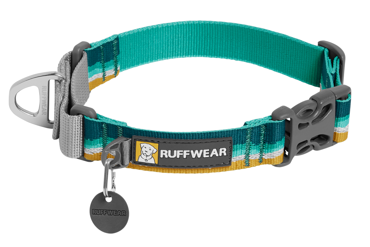 Web Reaction™ Martingale Dog Collar With Buckle product image