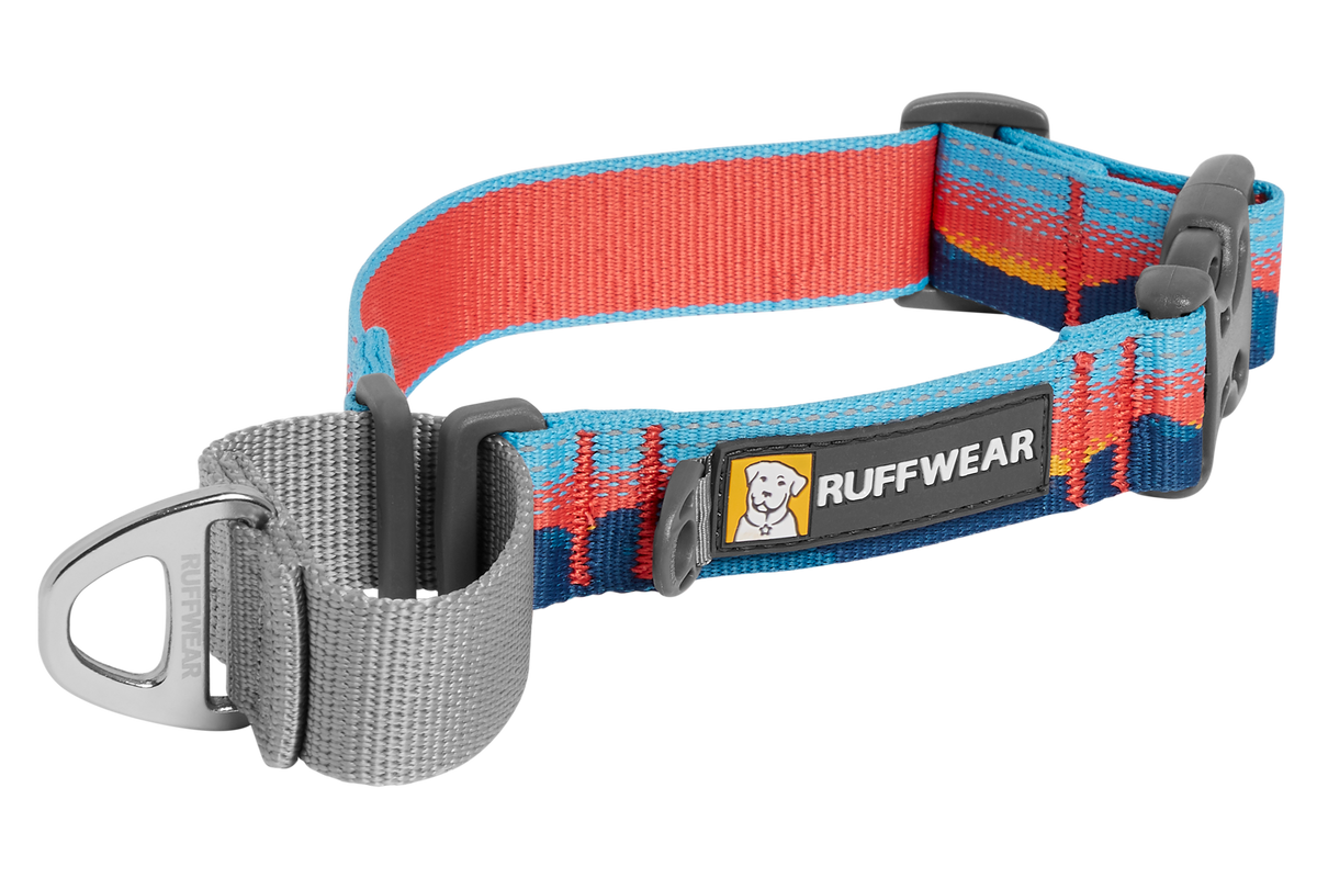 Web Reaction™ Martingale Dog Collar With Buckle product image