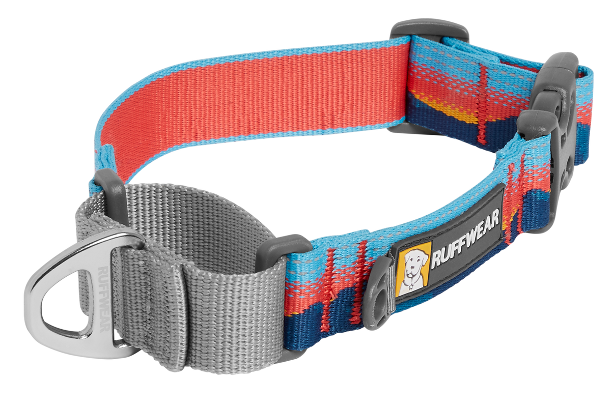Web Reaction™ Martingale Dog Collar With Buckle product image