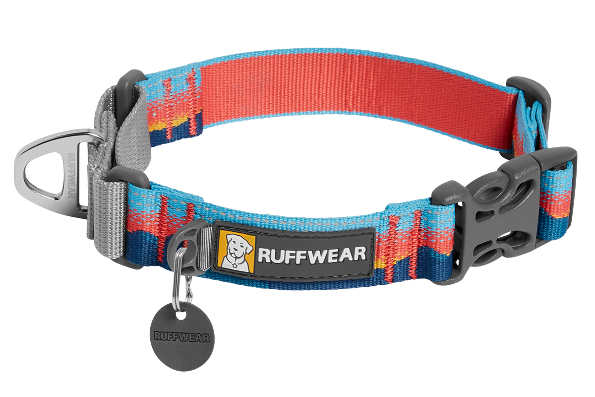 Web Reaction™ Martingale Dog Collar With Buckle product image