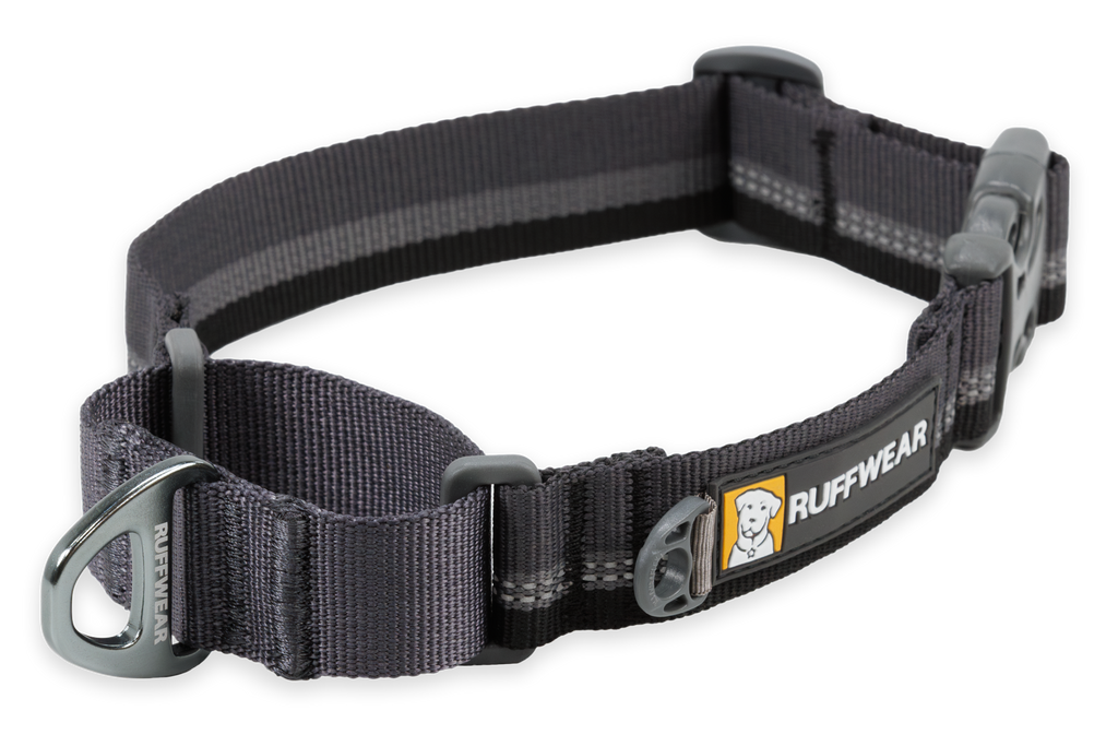 Web Reaction™ Martingale Dog Collar With Buckle product image