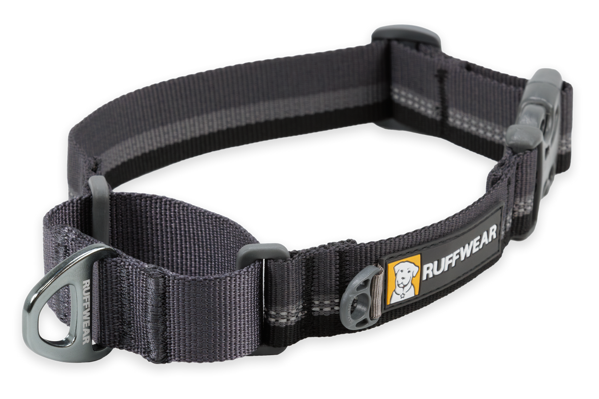 Web Reaction™ Martingale Dog Collar With Buckle product image