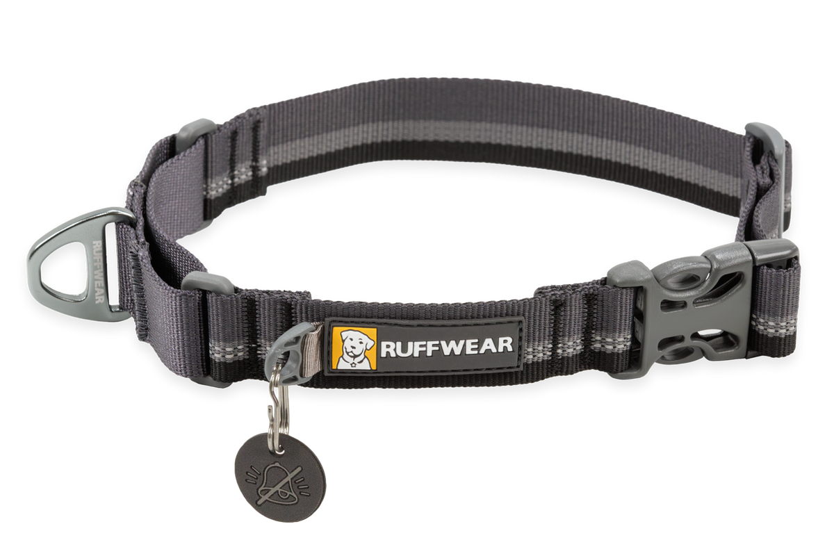 Web Reaction™ Martingale Dog Collar With Buckle product image