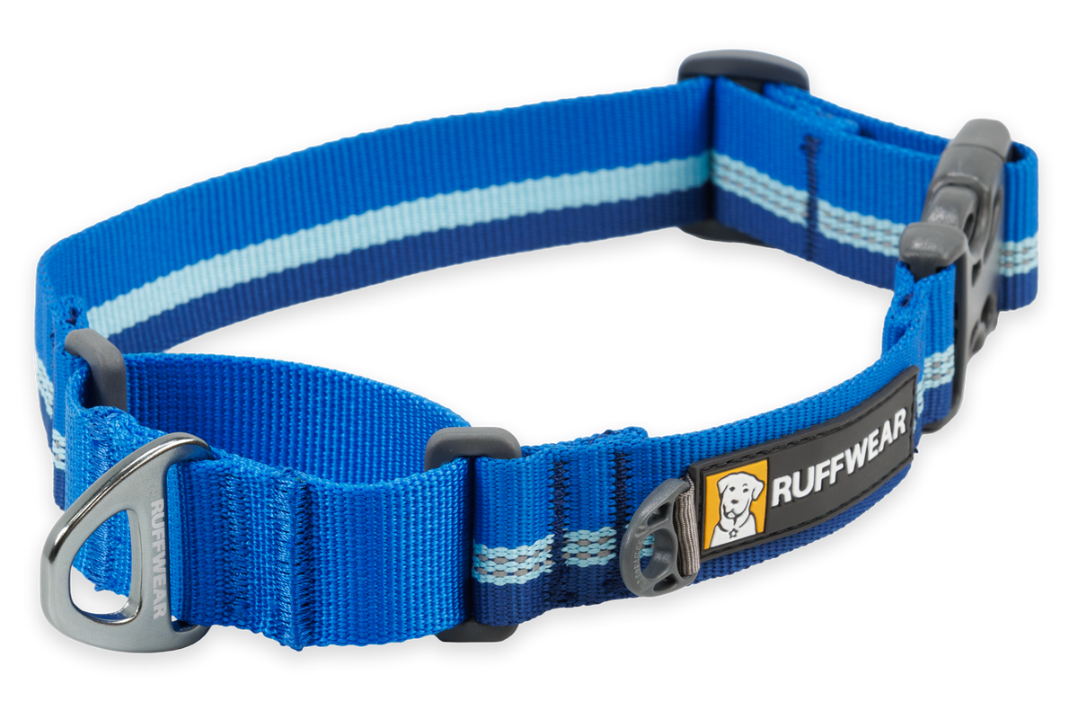 Web Reaction™ Martingale Dog Collar With Buckle product image