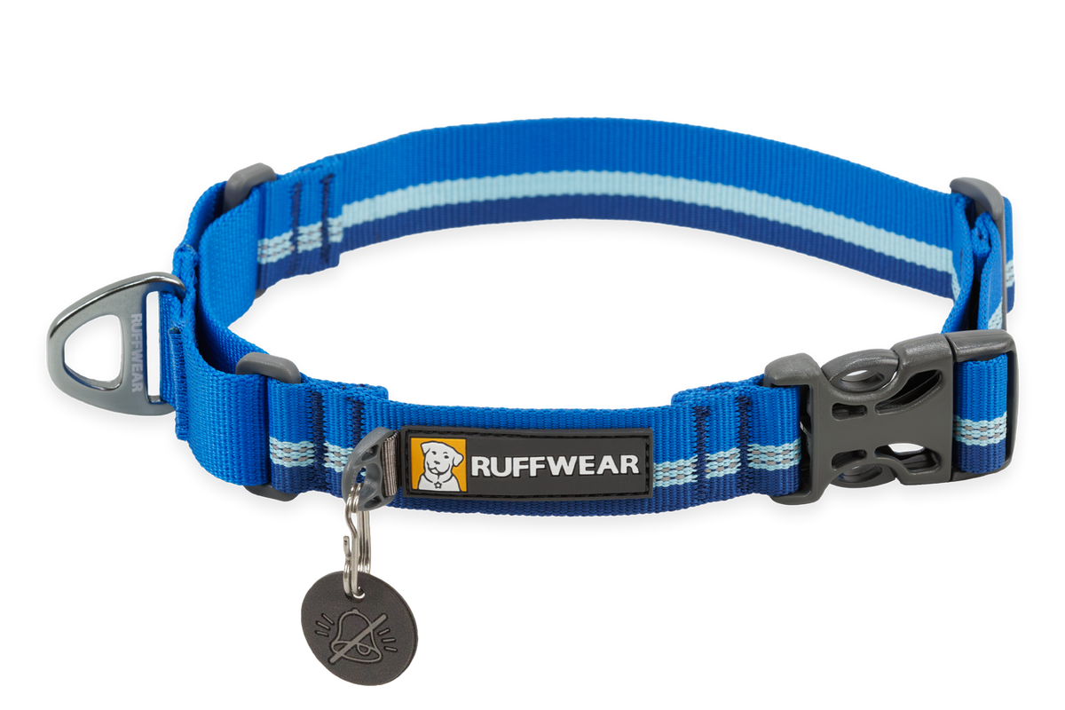 Web Reaction™ Martingale Dog Collar With Buckle product image