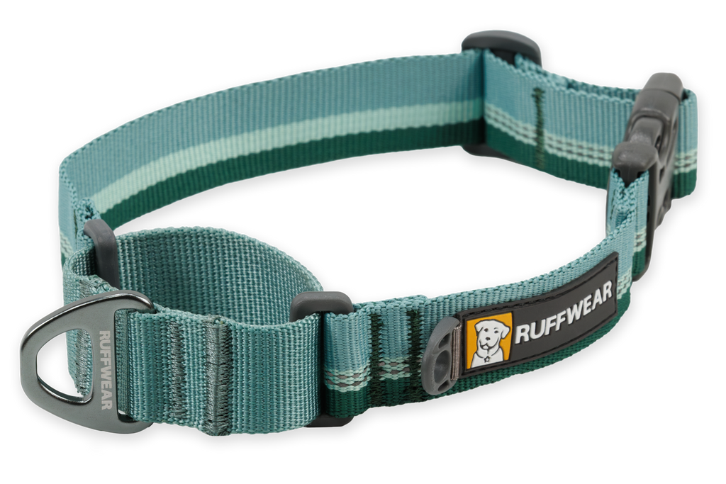 Web Reaction™ Martingale Dog Collar With Buckle product image