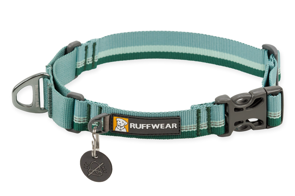 Web Reaction™ Martingale Dog Collar With Buckle product image