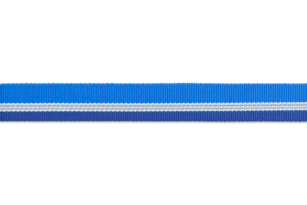 Chain Reaction™ Martingale Dog Collar product image