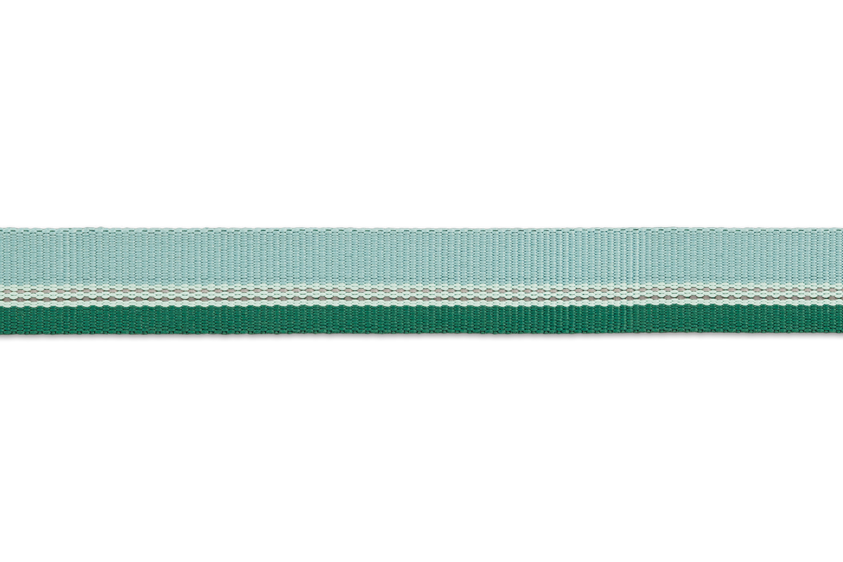 Chain Reaction™ Martingale Dog Collar product image