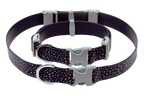 Confluence™ Waterproof Dog Collar product image