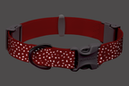 Confluence™ Waterproof Dog Collar product image