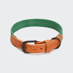Dog Collar Madeira Amber product image