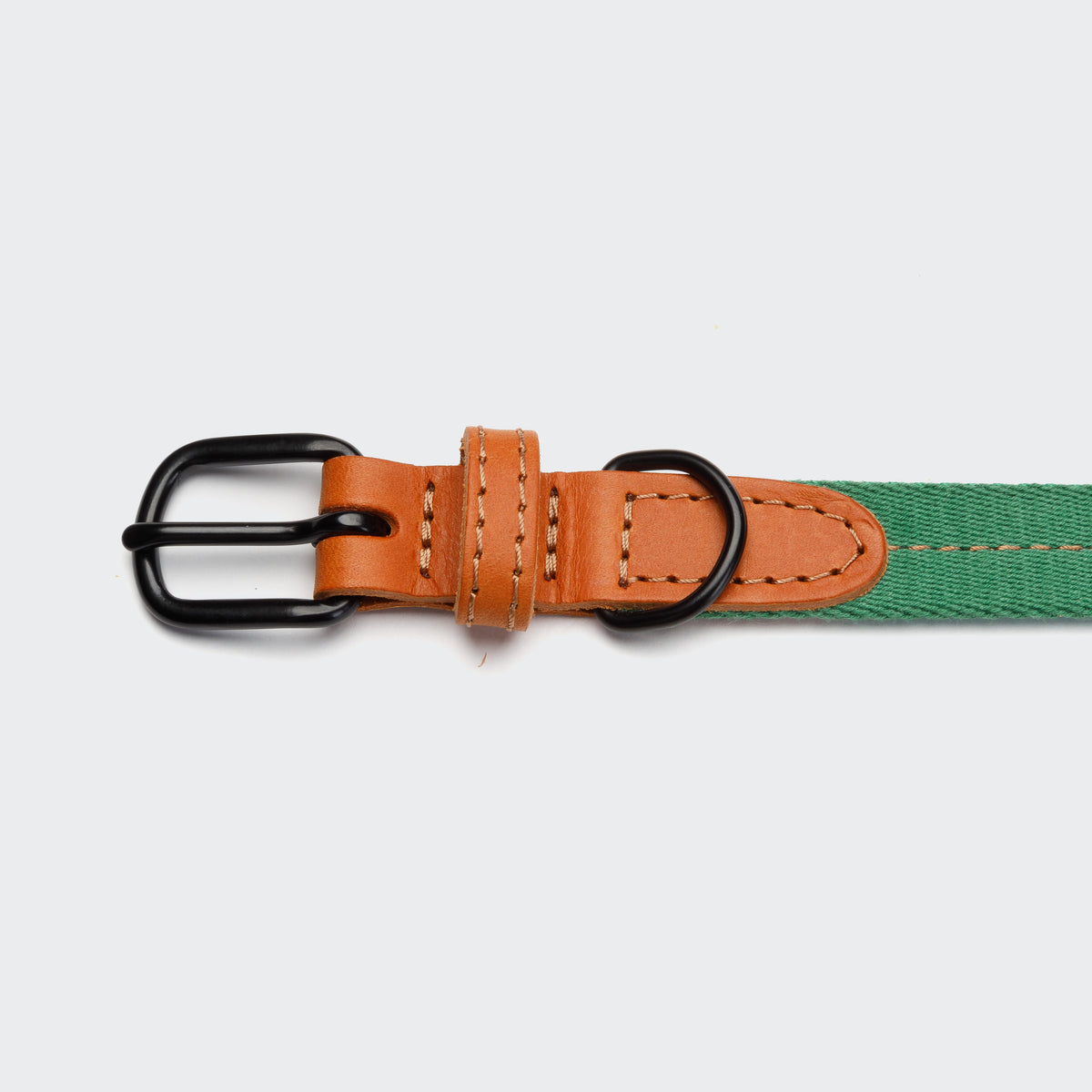 Dog Collar Madeira Amber product image