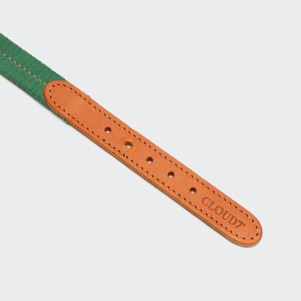 Dog Collar Madeira Amber product image