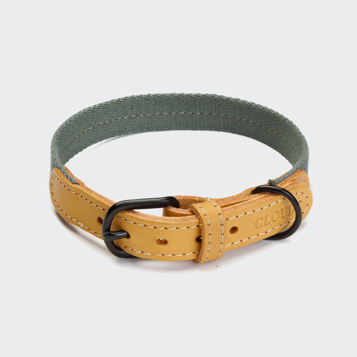 Dog Collar Madeira Biscuit product image