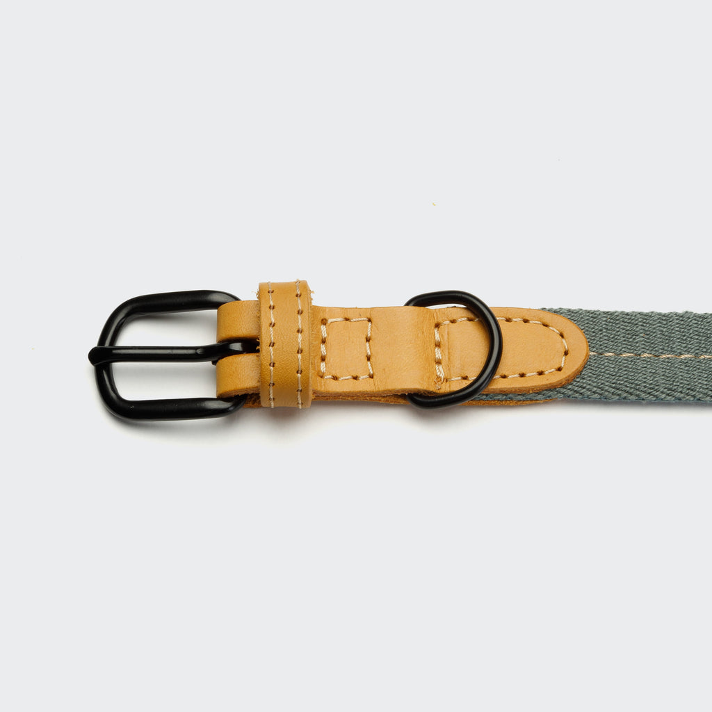 Dog Collar Madeira Biscuit product image