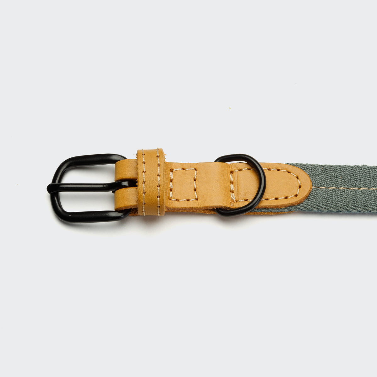 Dog Collar Madeira Biscuit product image