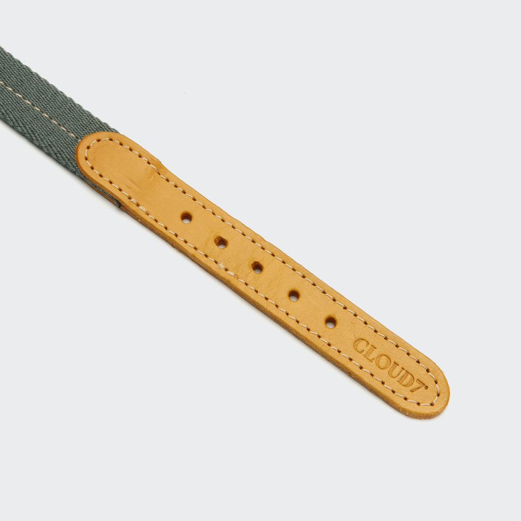 Dog Collar Madeira Biscuit product image