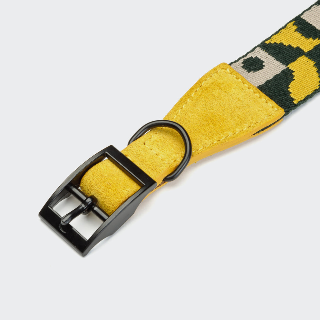 Dog Collar Wide Maksimir Park Green/Yellow product image