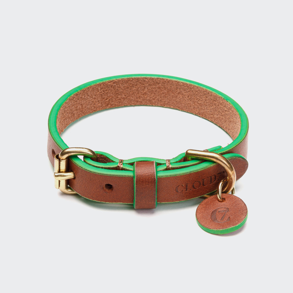 Dog Collar Prince Park Cognac/Green product image