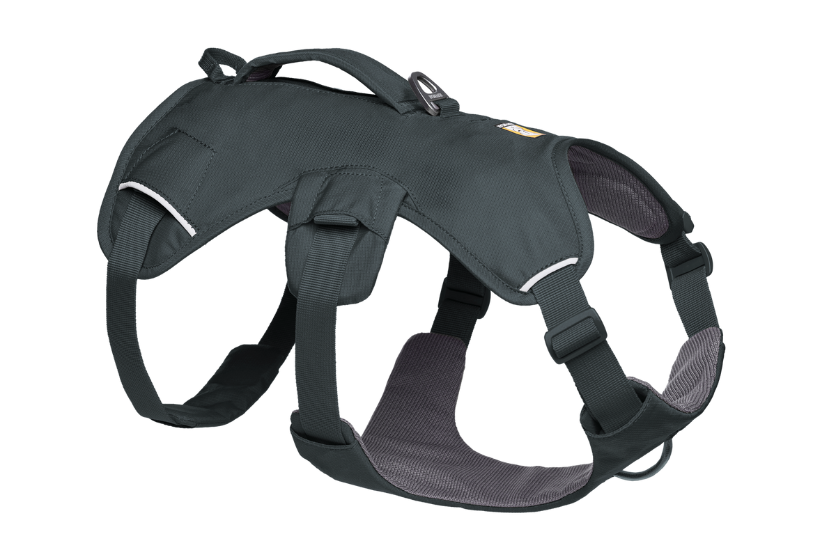 Web Master™ Dog Harness with Handle product image