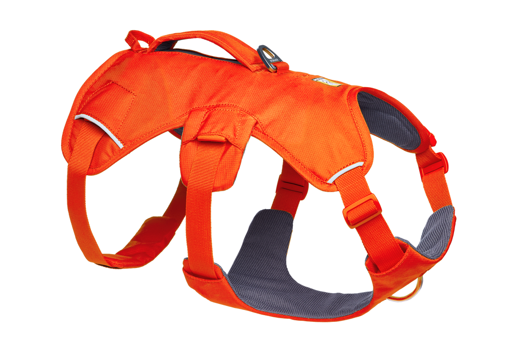 Web Master™ Dog Harness with Handle product image