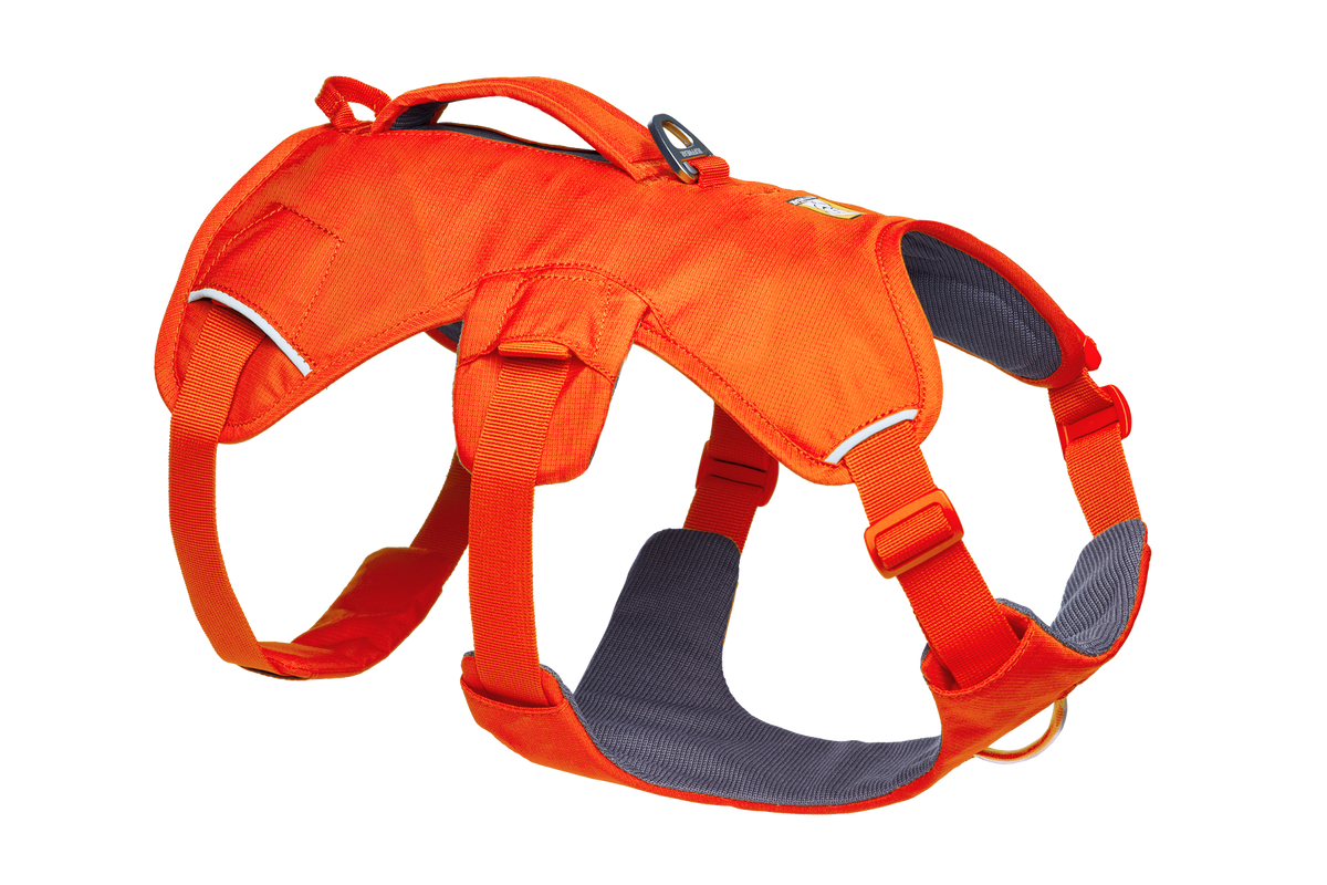 Web Master™ Dog Harness with Handle product image