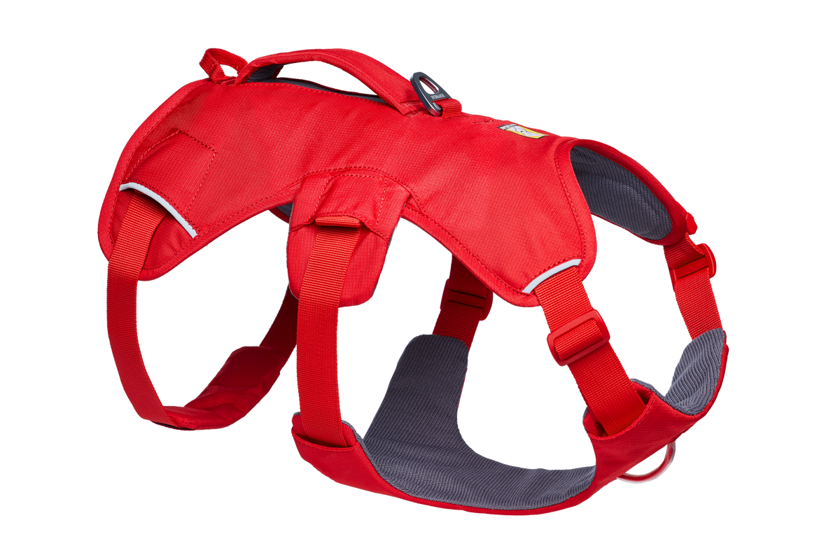 Web Master™ Dog Harness with Handle product image