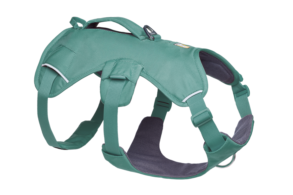 Web Master™ Dog Harness with Handle product image