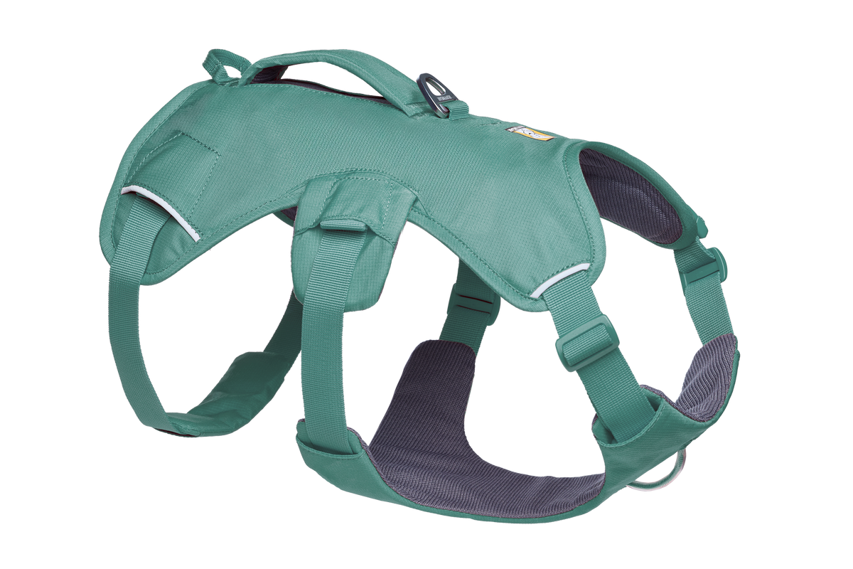 Web Master™ Dog Harness with Handle product image