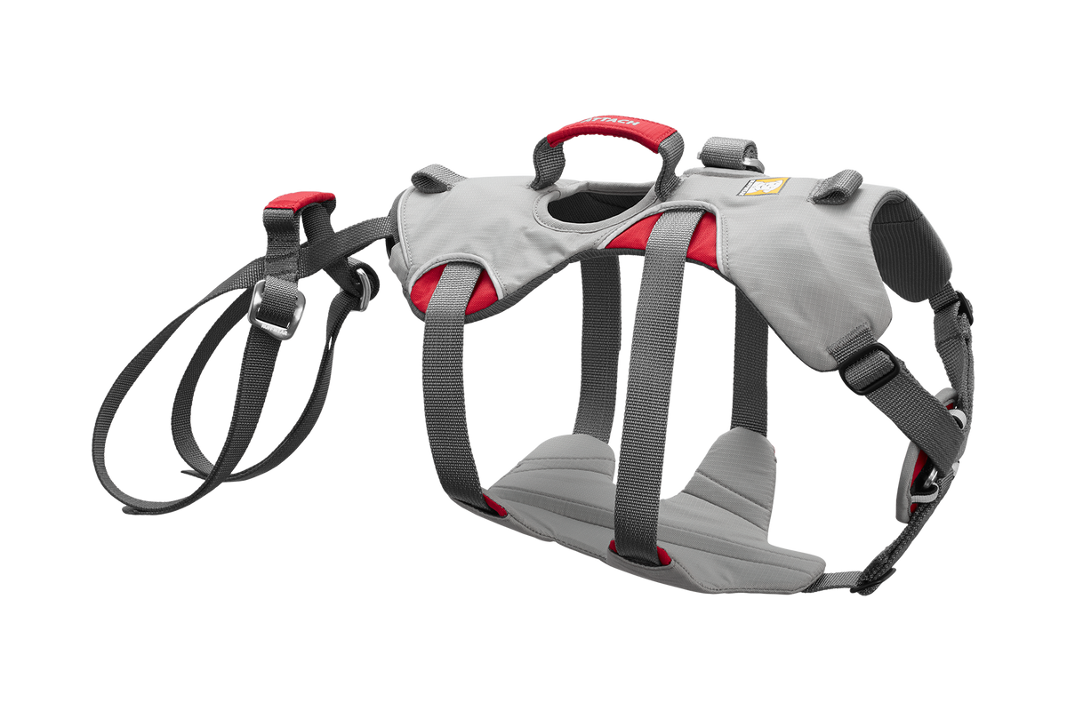 Doubleback™ Full Body Dog Harness product image