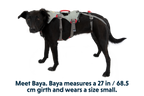 Doubleback™ Full Body Dog Harness product image
