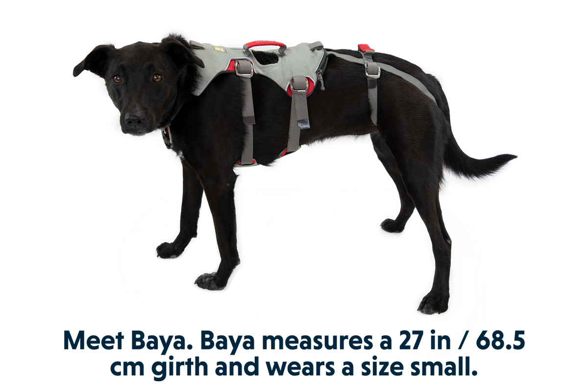 Doubleback™ Full Body Dog Harness product image
