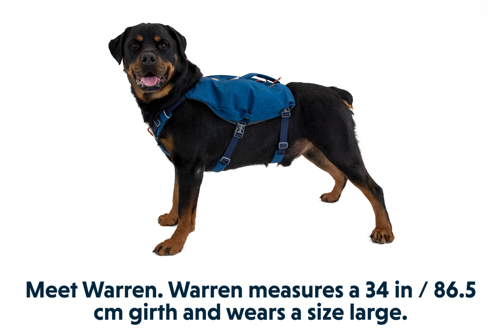 Switchbak™ Dog Harness product image