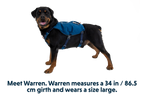 Switchbak™ Dog Harness product image