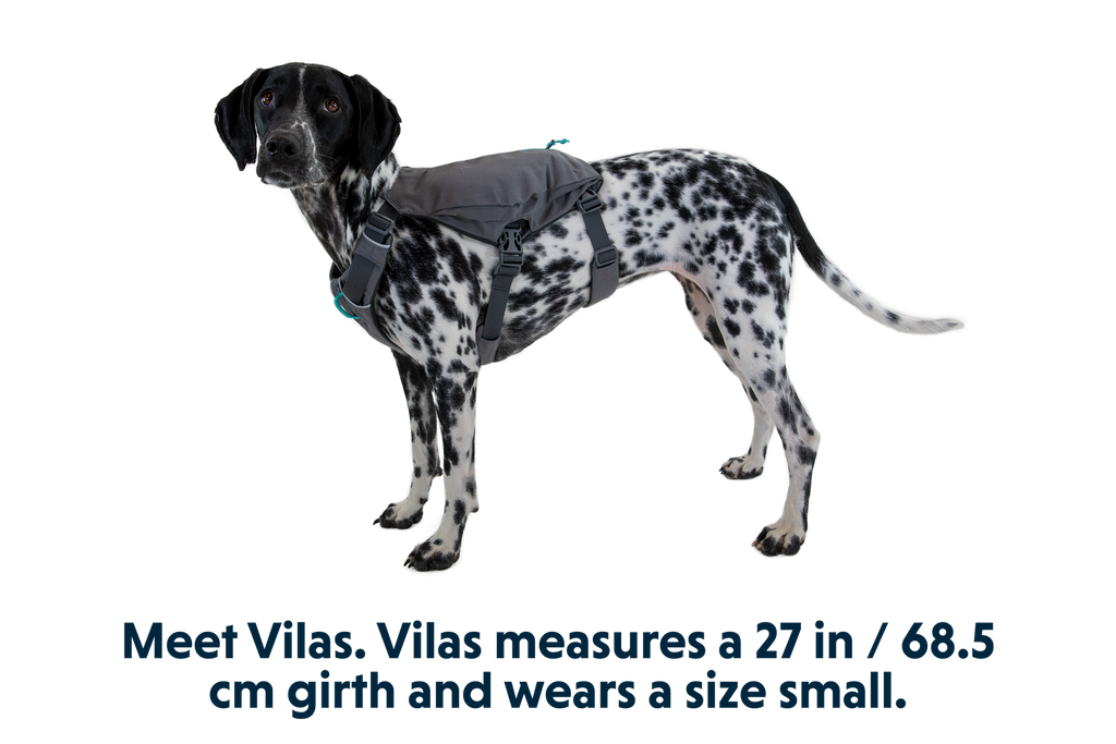 Switchbak™ Dog Harness product image