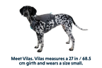Switchbak™ Dog Harness product image