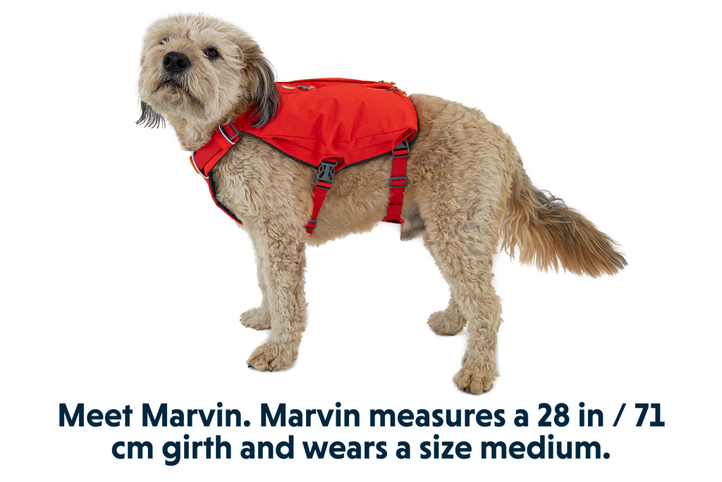 Switchbak™ Dog Harness product image