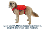 Switchbak™ Dog Harness product image