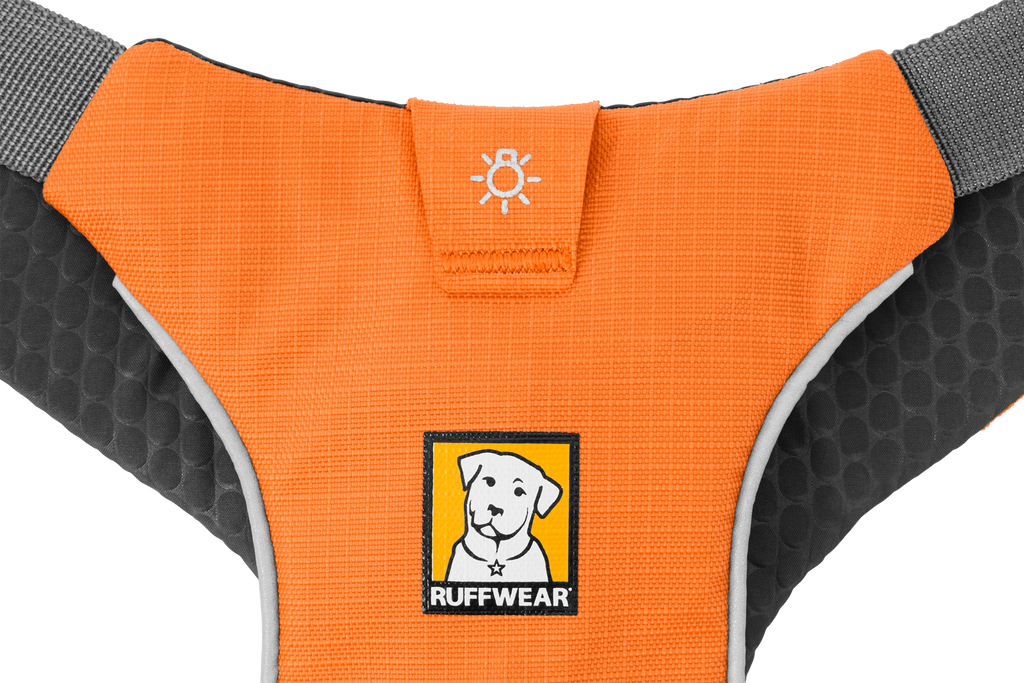 Omnijore™ Dog Joring System product image