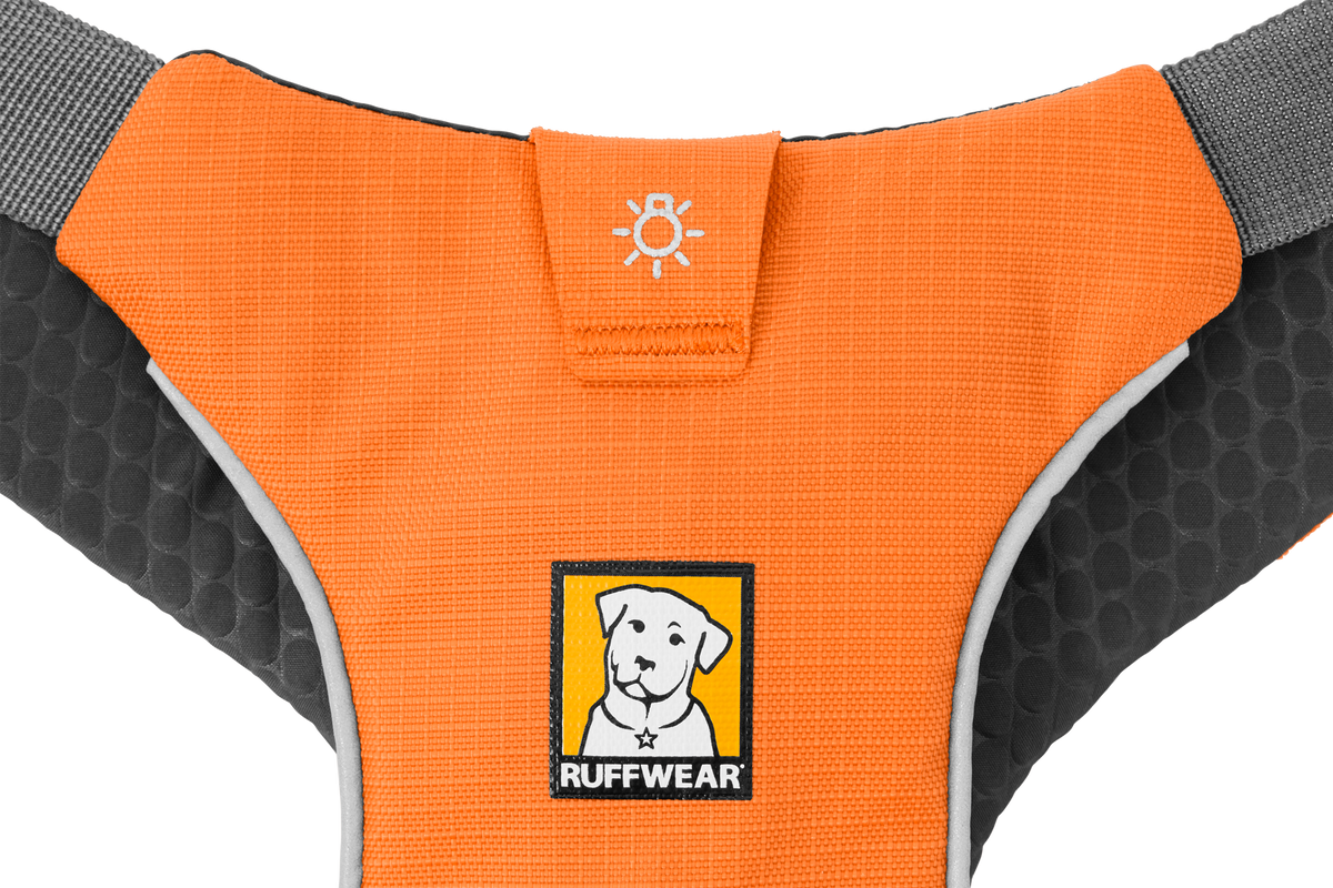 Omnijore™ Dog Joring System product image