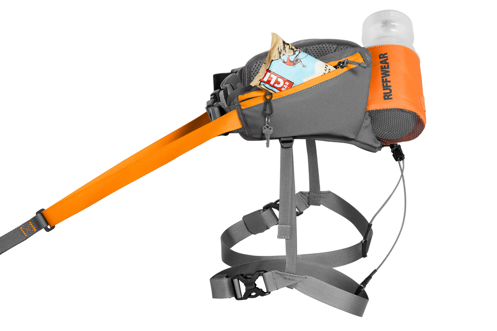 Omnijore™ Dog Joring System product image