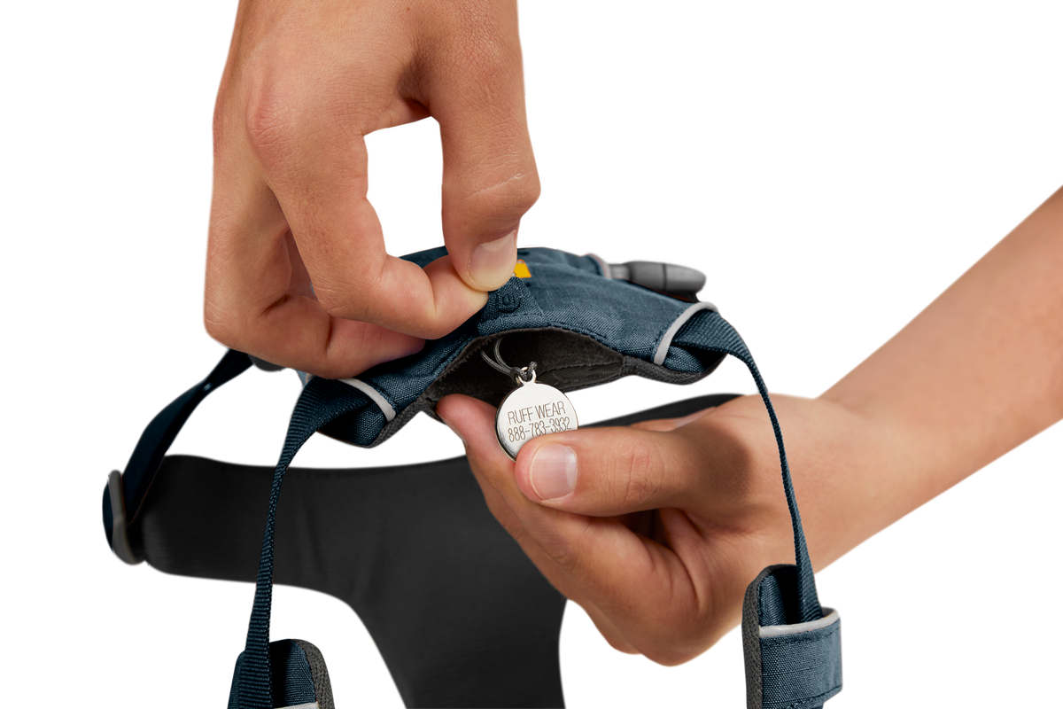 Front Range® Dog Harness product image