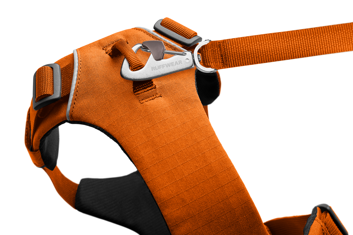 Front Range® Dog Harness product image