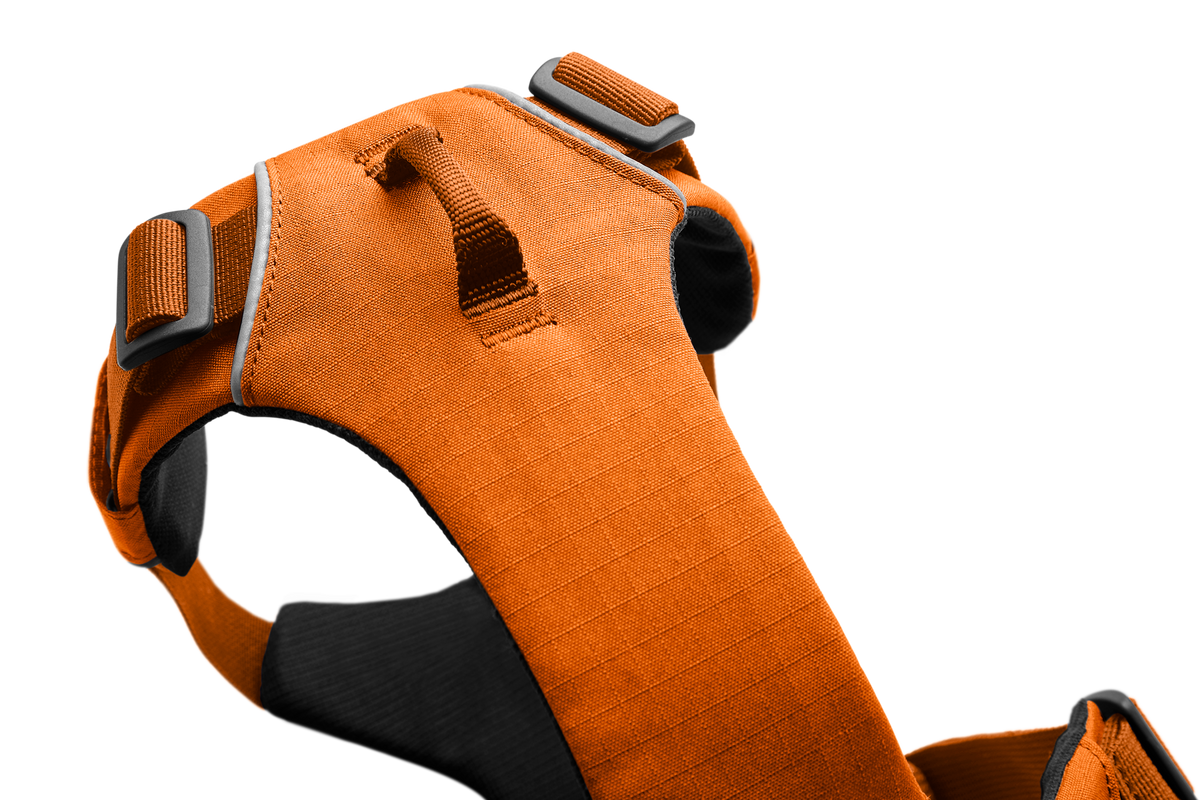 Front Range® Dog Harness product image