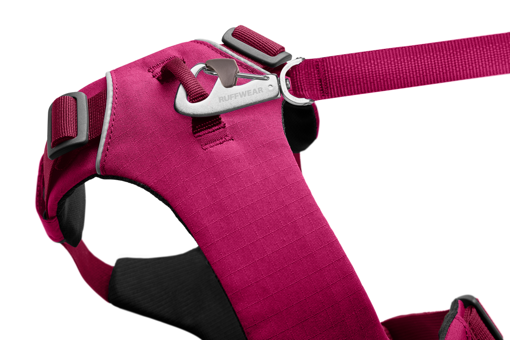 Front Range® Dog Harness product image