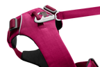 Front Range® Dog Harness product image