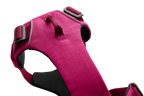 Front Range® Dog Harness product image