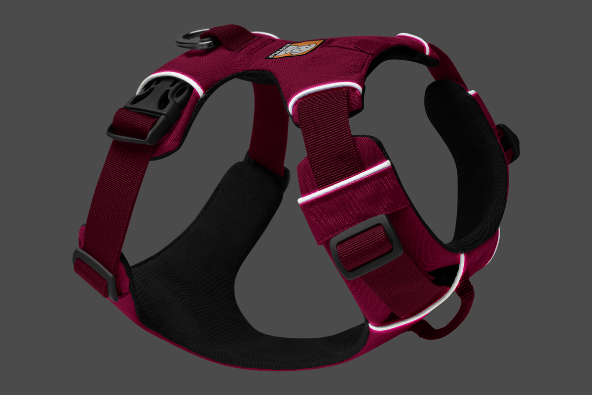 Front Range® Dog Harness product image