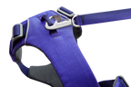 Front Range® Dog Harness product image